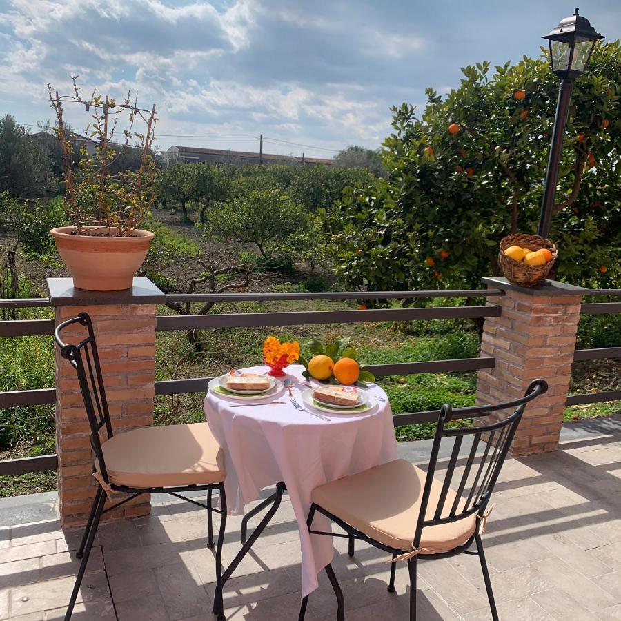 ترابيتيلو La Pomelia B&B Sofia المظهر الخارجي الصورة
