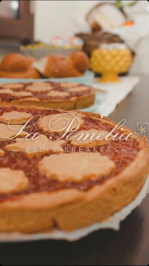 ترابيتيلو La Pomelia B&B Sofia المظهر الخارجي الصورة