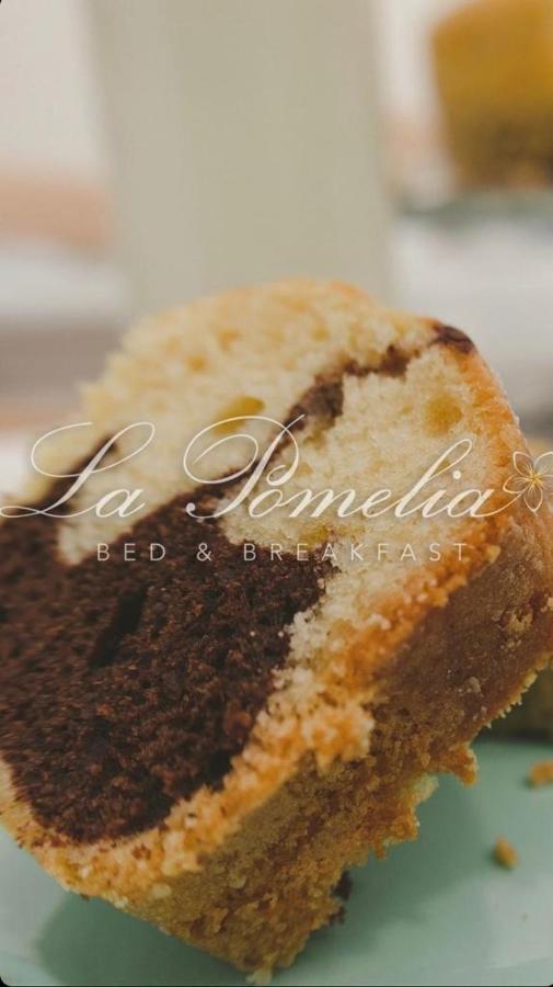 ترابيتيلو La Pomelia B&B Sofia المظهر الخارجي الصورة