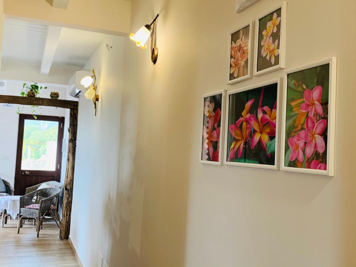 ترابيتيلو La Pomelia B&B Sofia المظهر الخارجي الصورة