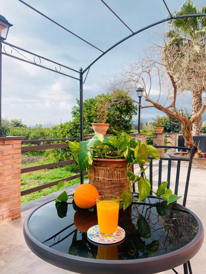 ترابيتيلو La Pomelia B&B Sofia المظهر الخارجي الصورة