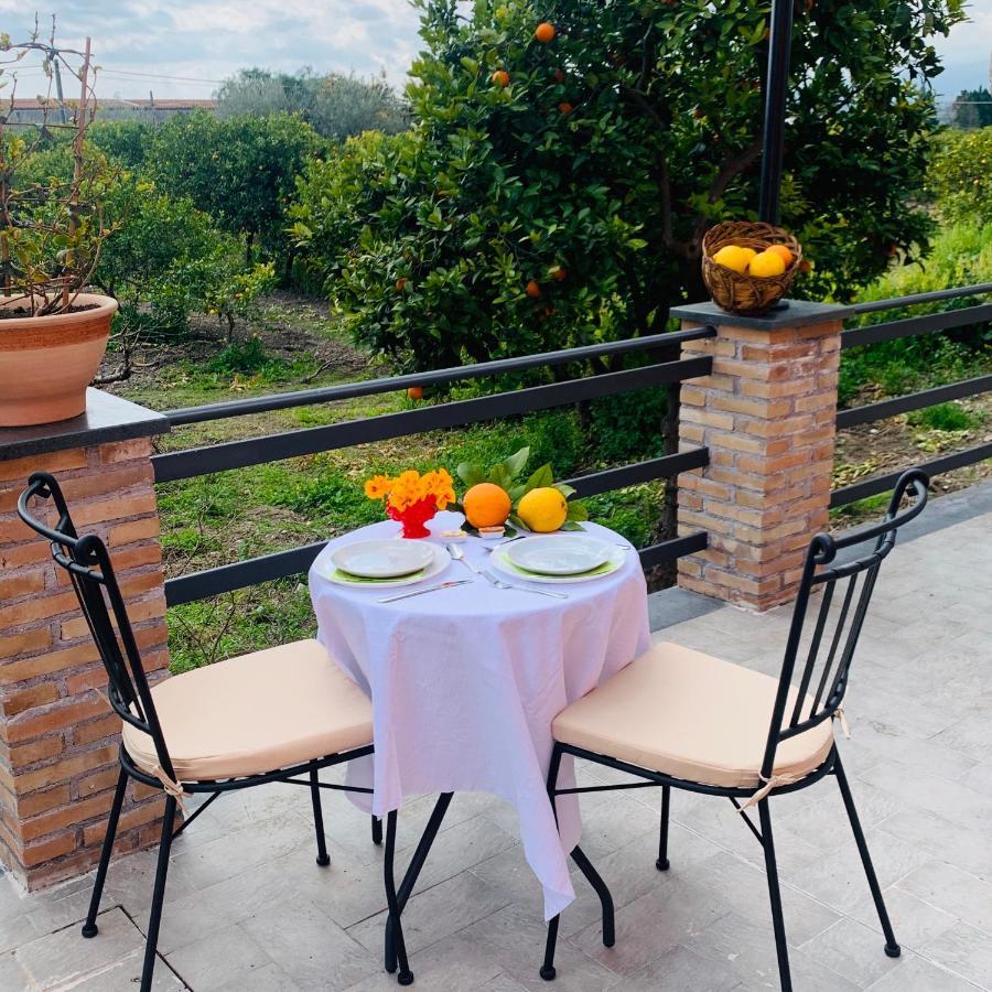 ترابيتيلو La Pomelia B&B Sofia المظهر الخارجي الصورة