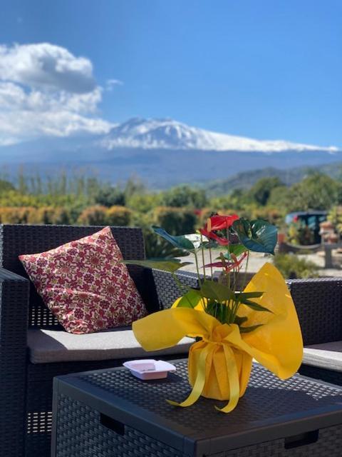 ترابيتيلو La Pomelia B&B Sofia المظهر الخارجي الصورة