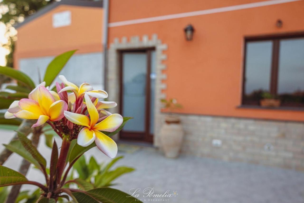 ترابيتيلو La Pomelia B&B Sofia المظهر الخارجي الصورة