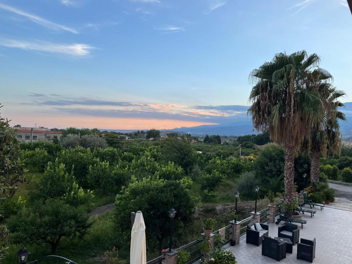 ترابيتيلو La Pomelia B&B Sofia المظهر الخارجي الصورة