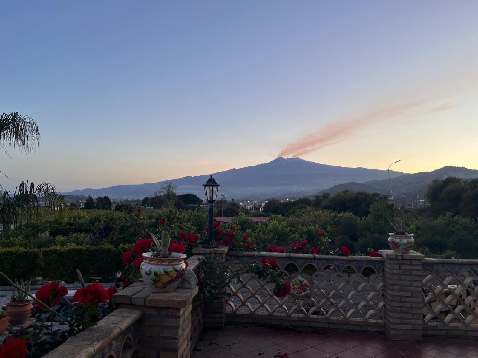 ترابيتيلو La Pomelia B&B Sofia المظهر الخارجي الصورة